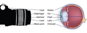 camera-lens-eye-lens_large